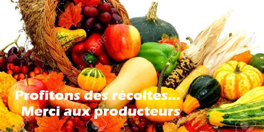 LES RÉCOLTES